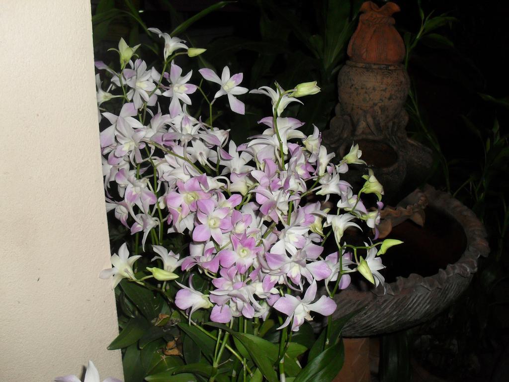 Your House 3 Guest House Chiang Mai Exterior photo